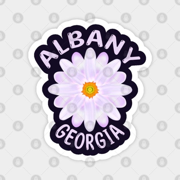 Albany Magnet by MoMido