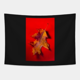 Autumn Oak Leaf on Red Tapestry