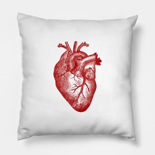 Anatomical Heart Pillow