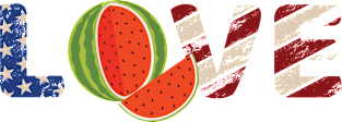 'USA Flag Watermelon' Cool Watermelon 4th of July Magnet