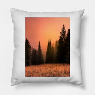 Foggy sunset in redwood forest Pillow