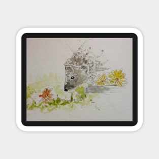 Hedgehog drawing Magnet