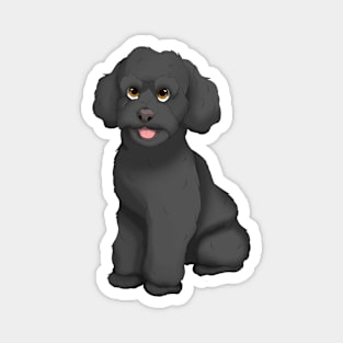 Black Toy Poodle Dog Magnet