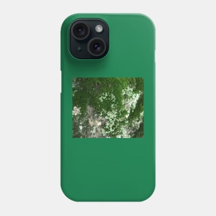 Moss and lichen Phone Case