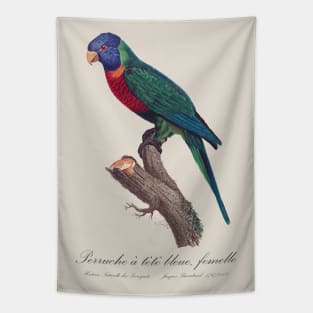 Rainbow Lorikeet female - 19th century Jacques Barraband Illustration Tapestry