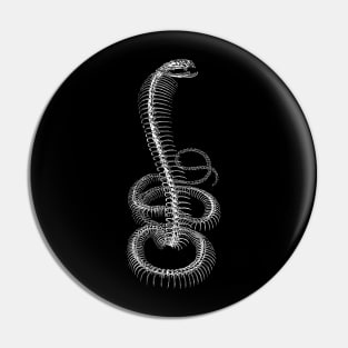 Snake Skeleton Pin