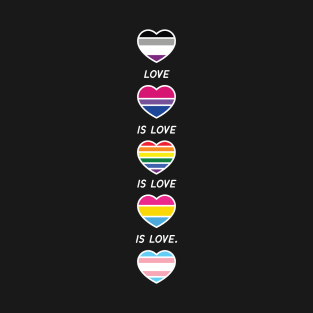 Love is Love Pride LGBT Asexual Bisexul Pansexual Transgender T-Shirt