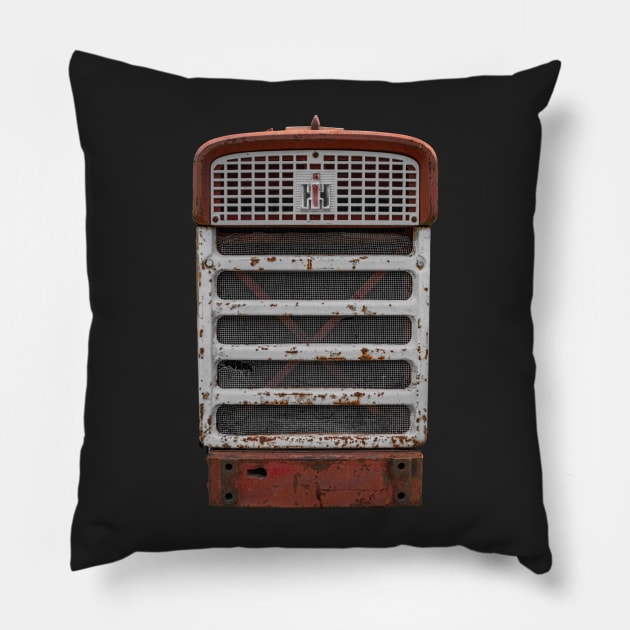 Grinning Grill Pillow by Enzwell