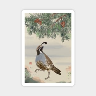 Fuyu Quail Magnet