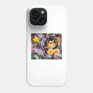 nature, autumn, mushrooms in autumn leaves Phone Case