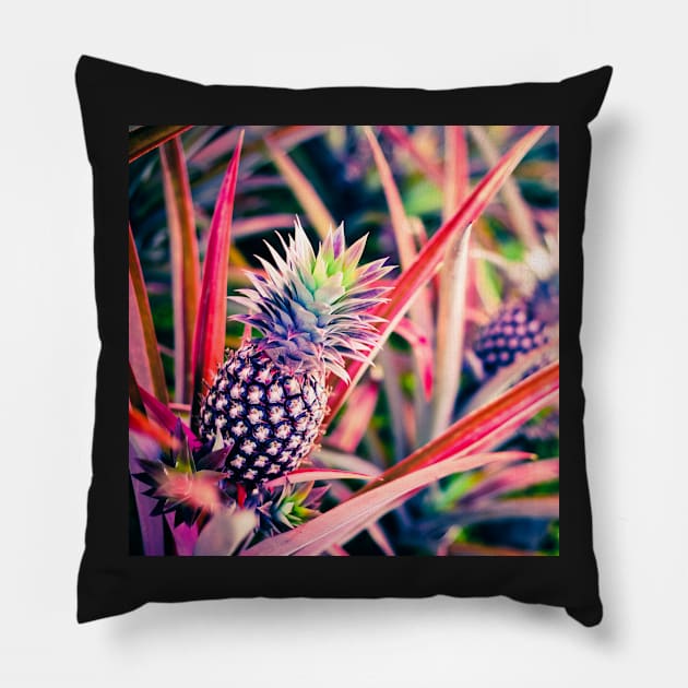 Purple Hawaiian Pineapple Pillow by alohaportraits