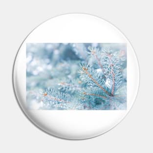 Snowy Winter Evergreen Forest Branches Pin