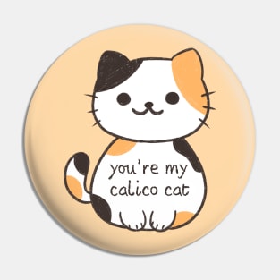 BTS Jimin Serendipity you're my calico cat Pin