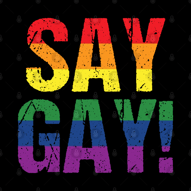 Say Gay Protest Don't Say Gay by jplanet