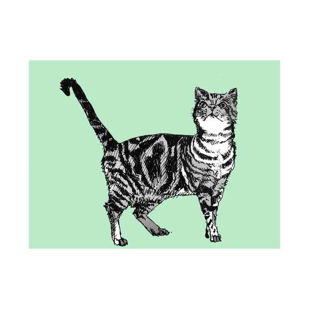 Cute Striped Tabby Cat Art Mint Green by SarahRajkotwala