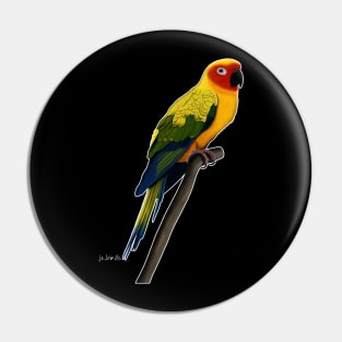 Sun Conure Bird Watching Birding Ornithologist Gift Pin