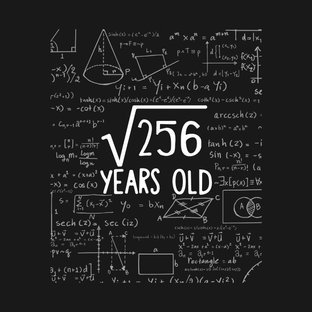 Square Root of 256: 16th Birthday 16 Years Old T-Shirt by johnii1422