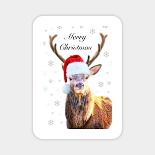 Christmas Stag Magnet