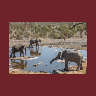 Namibia. Etosha National Park. Elephants at Waterhole. T-Shirt