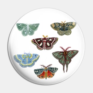 Watercolor Moths Pin