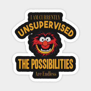 I am currently unsupervised I know it freaks me out too but possibilities are endless Magnet