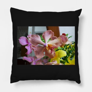 Orchidaceae Pillow