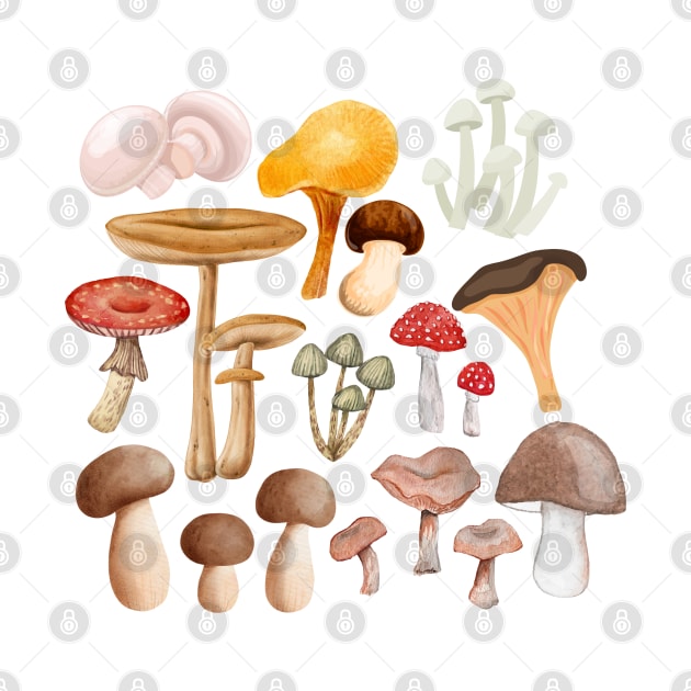 Mushroom multy kind of mushrooms by Maroon55