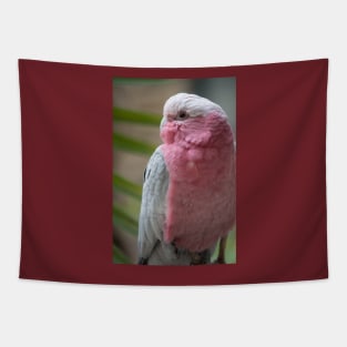 Galah Tapestry