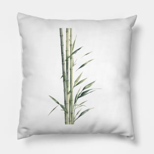 watercolor bamboo Pillow