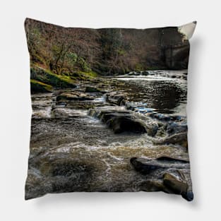 The River Almond Pillow