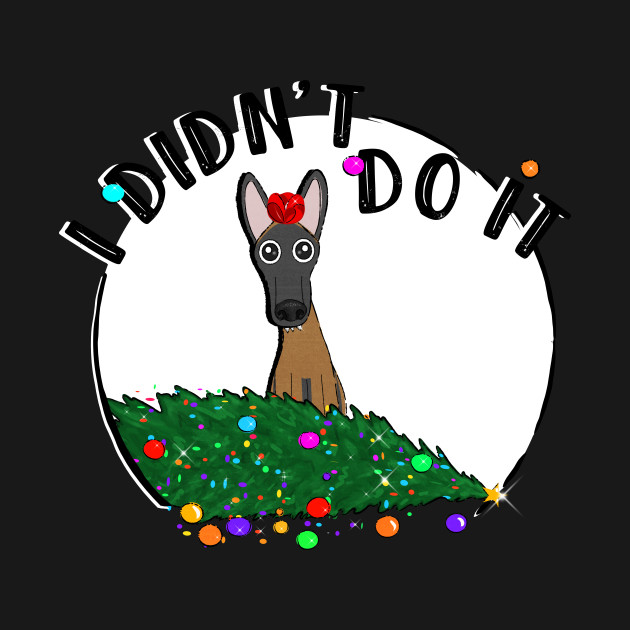 Discover I didn't do it! Holiday Edition! - Funny Xmas - T-Shirt