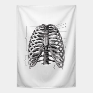 Human rib cage print Tapestry