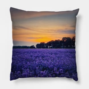 Purple blue lavender Pillow