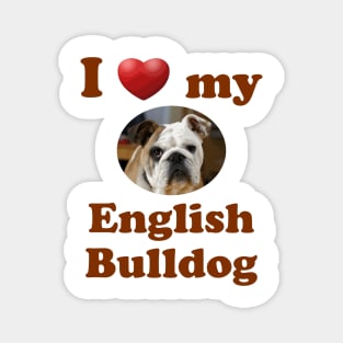 I Love My English Bulldog Magnet