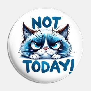 Not today Funny Cat Quote Hilarious Sayings Humor Gift Pin