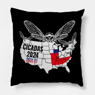 Cicada Map 2024 Cicada Emergence Cicadas Invasion Pillow