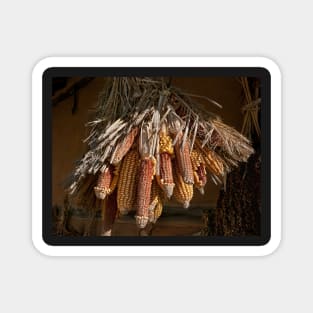 Drying Corn, Suwon, South Korea. Magnet