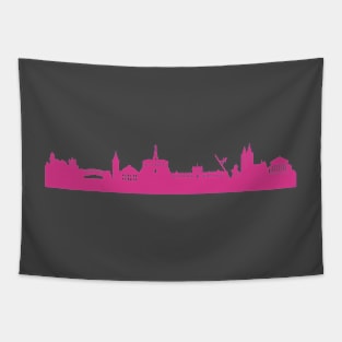 Kassel skyline pink Tapestry