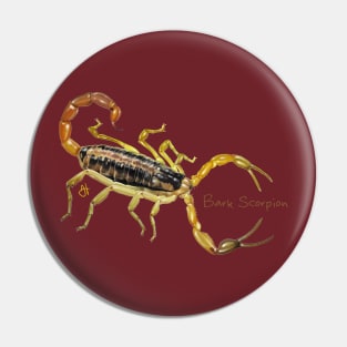 Scorpion Encounter! Bigger Than Large! Pin