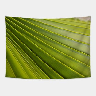 Fan Palm Leaf Tapestry