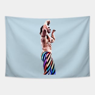 Ravishing Rick Rude: The Pose Tapestry