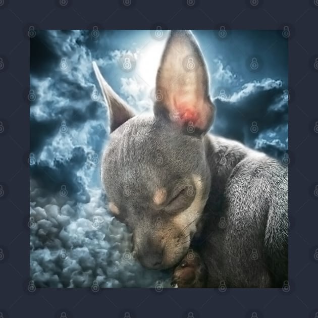 Cute Cheeky Chihuahua Face Bedtime Dream art by BarbaraGlebska