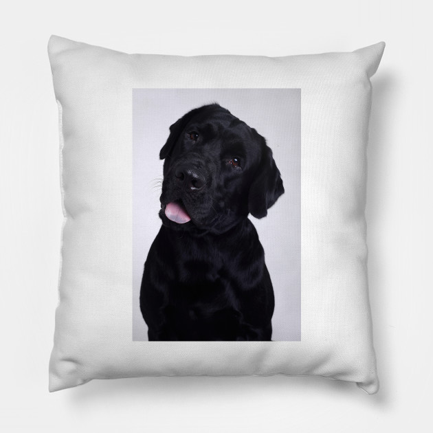 black labrador pillow