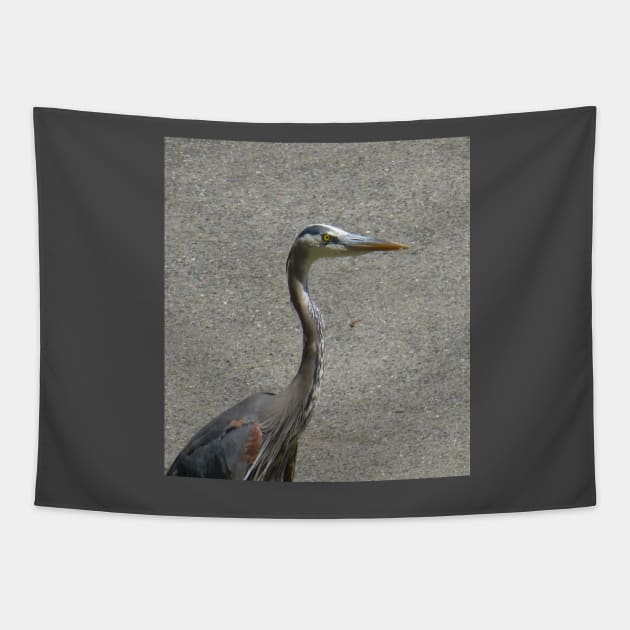 Driveway heron Tapestry by AmyKalish