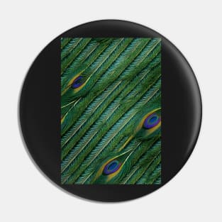 Beautiful colorful Peacock feather pattern - perfect for birdlovers #2 Pin