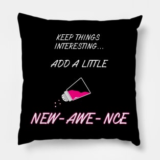 Keep Things Interesting...Add A Little NEW-AWE-NCE Pillow