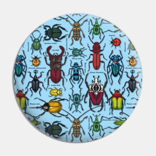 Beetles on blue Pin