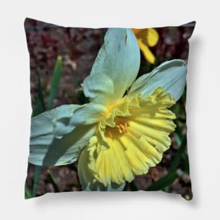 Daffodil  - Early Spring Blooms Pillow