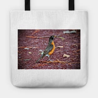 Robin On Standby Tote