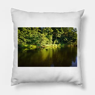 The River Swale Pillow